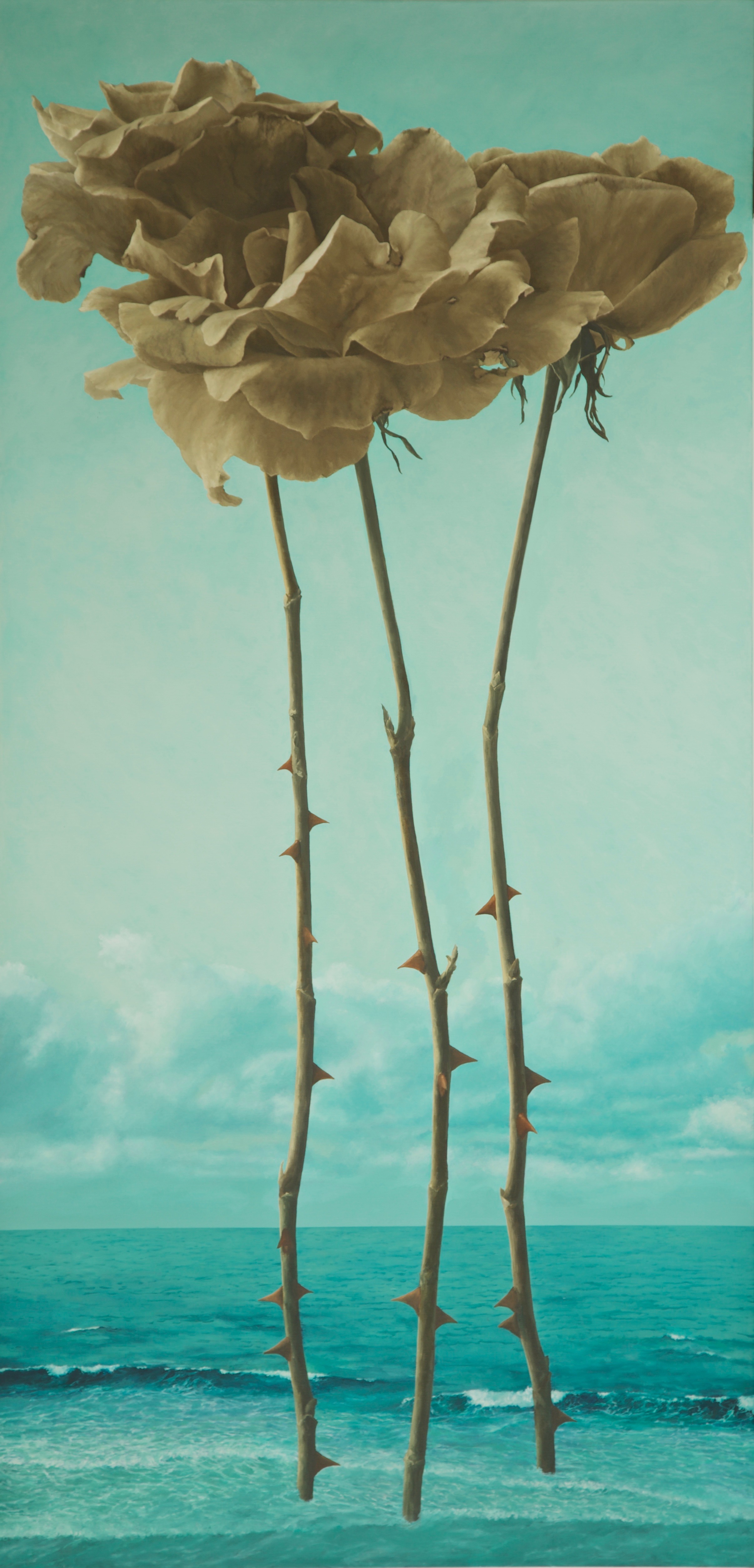 greenish sky and sea, sepia roses