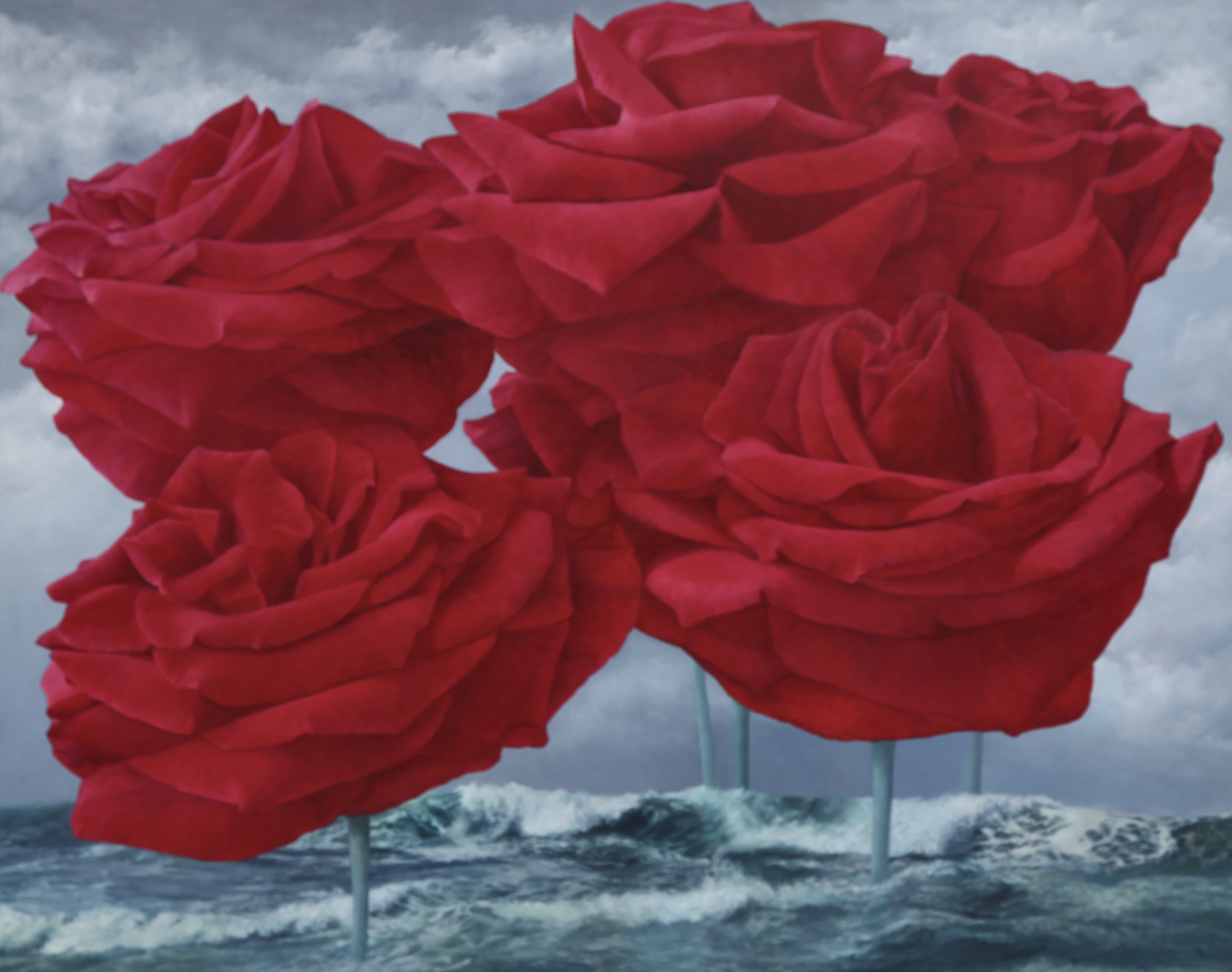 7 RED ROSES, SEA