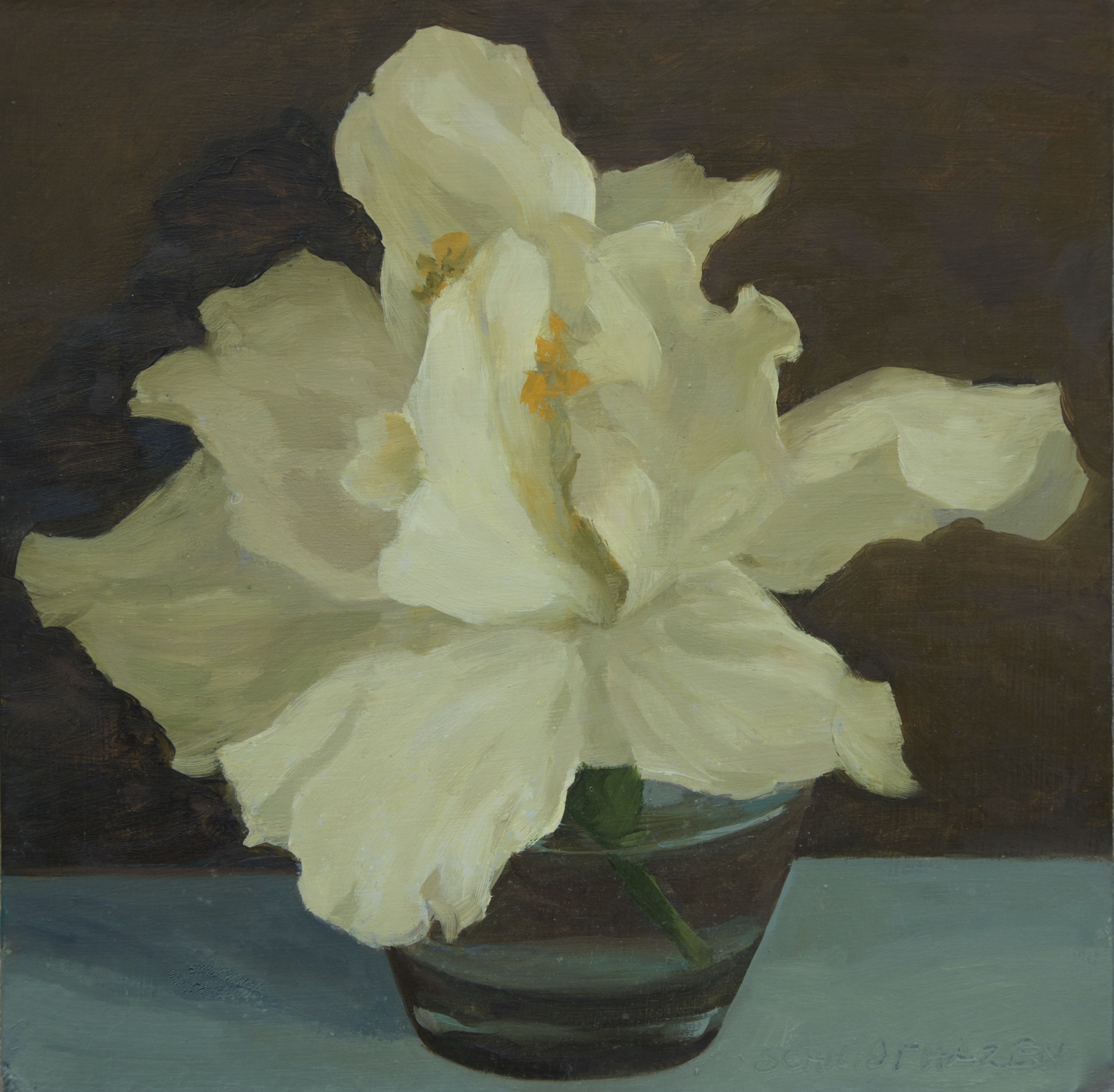 white hibiscus in clear glass vichy jar, dark copper background